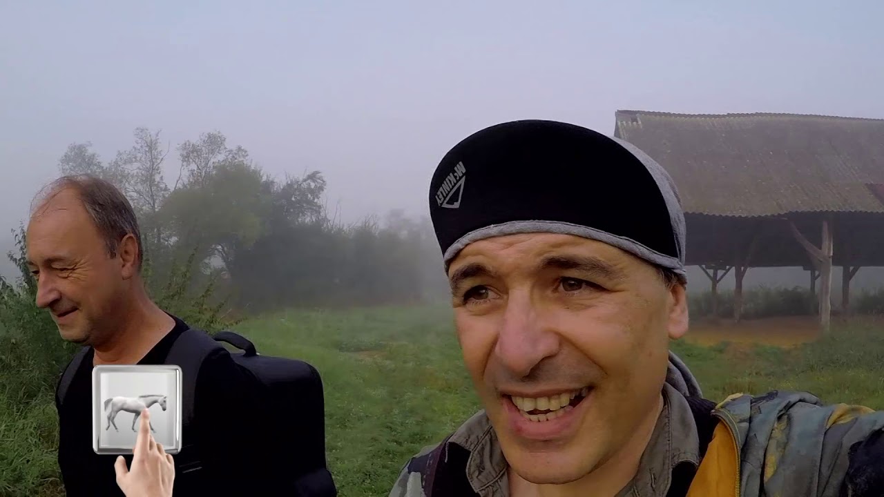 DESCĂLECAȚI ÎN CARPAȚI - Colț de rai cu natură și cai/ 2019 MAR 17/ Sezon 3, Editia 08