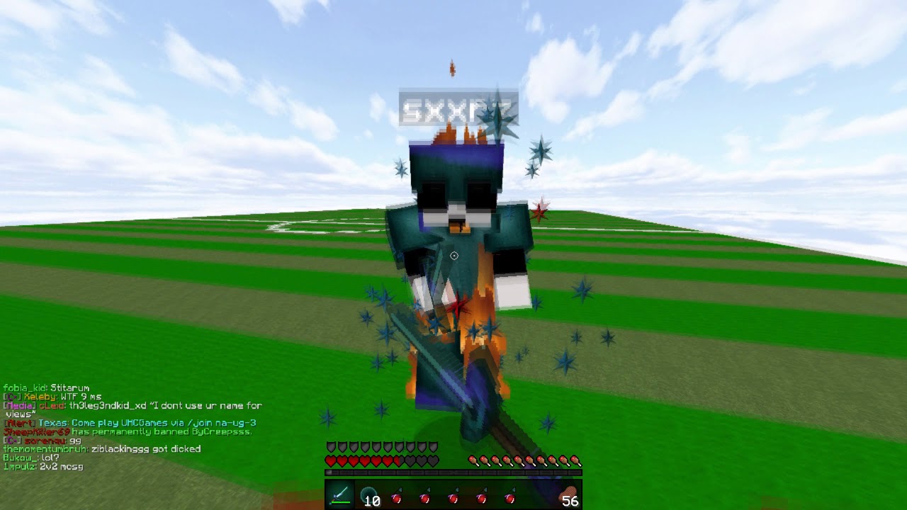 seerz 5 potted