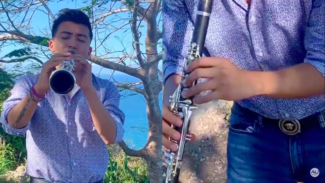 Leo Dan- Pídeme la Luna / Cover INSTRUMENTAL AU