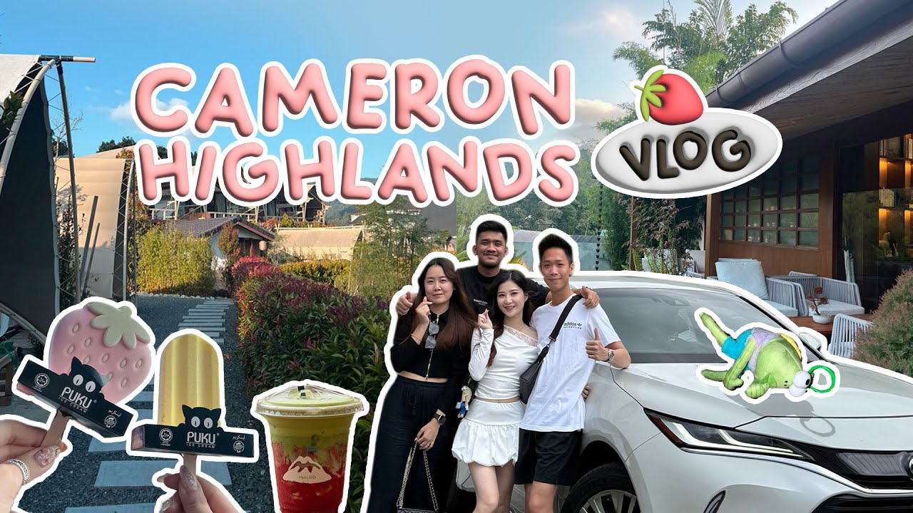 金马伦 Cameron Highlands Vlog EP02 | Glamping at Zen by Stellar, Tea Valley, Butterfly Park, Centrum🏕️🍓