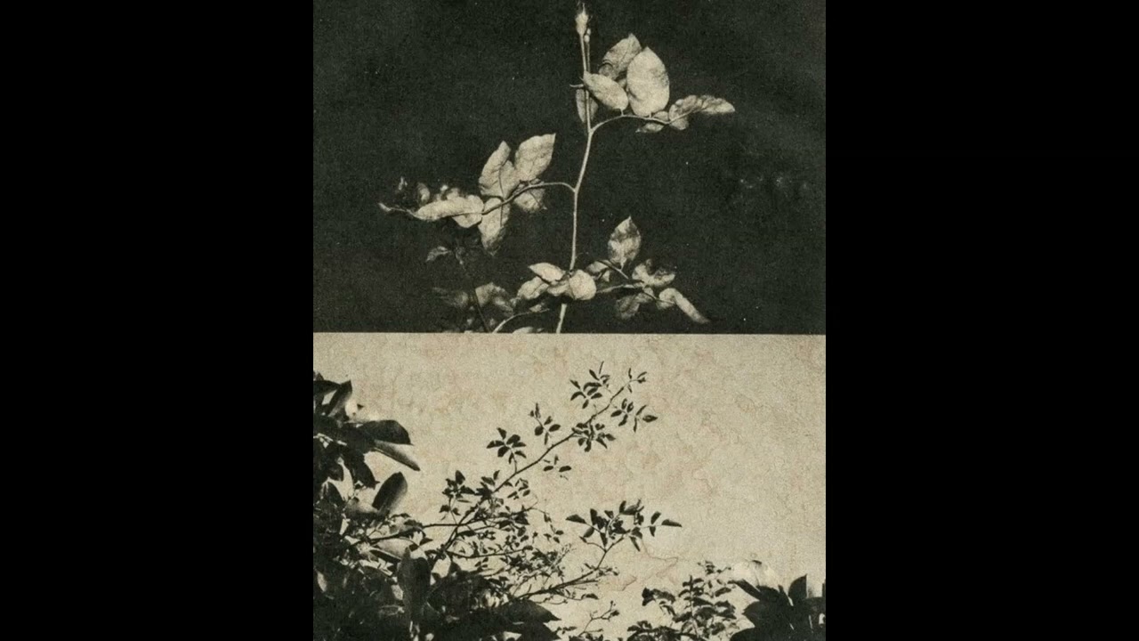 [FREE] lo-fi x grunge x XXX type beat 