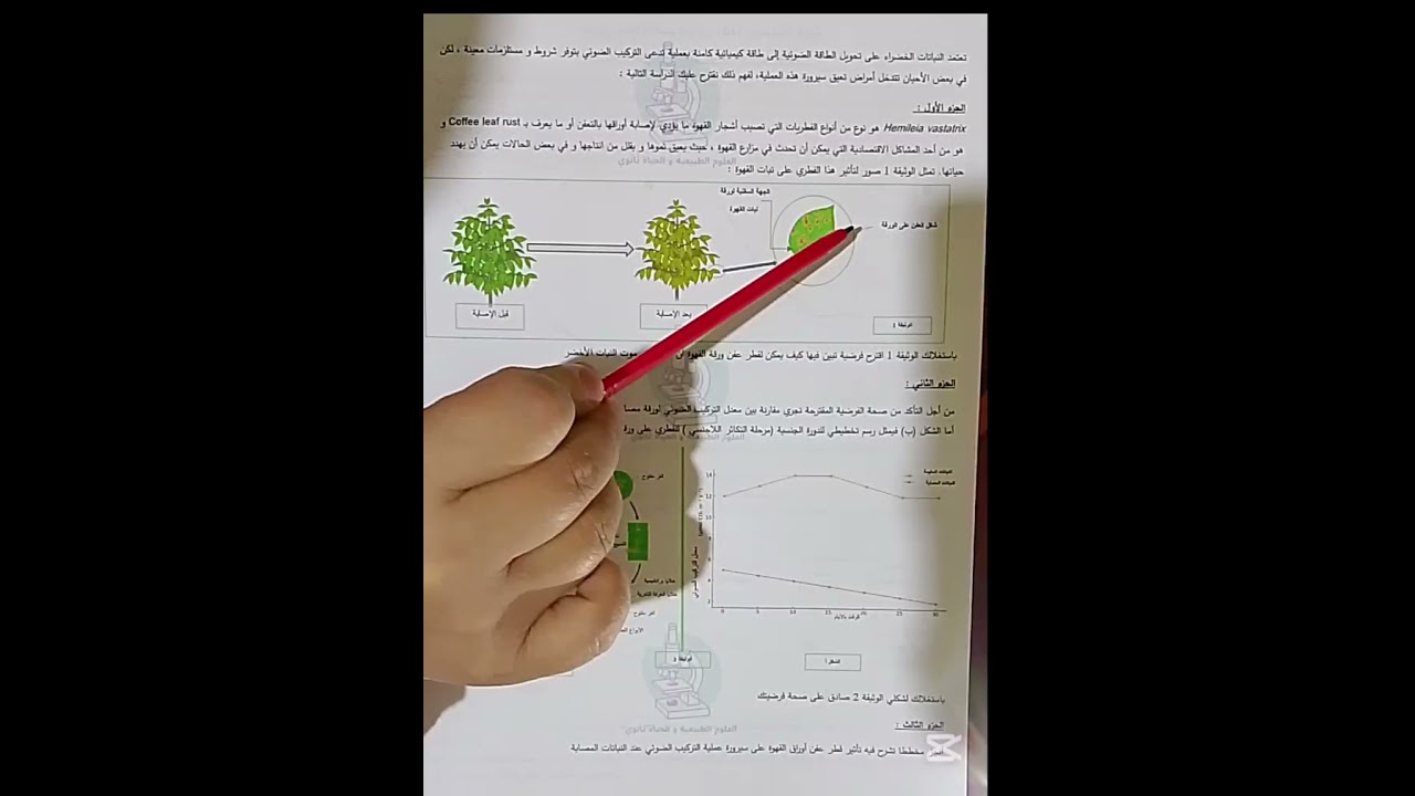 تمرين رائع حول التركيب الصوئي للسنة اولى ج م ع ت 
