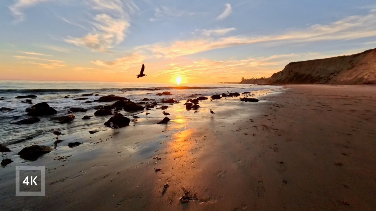 Golden Meadow to Sunset Beach Walk | 4K Ocean Waves