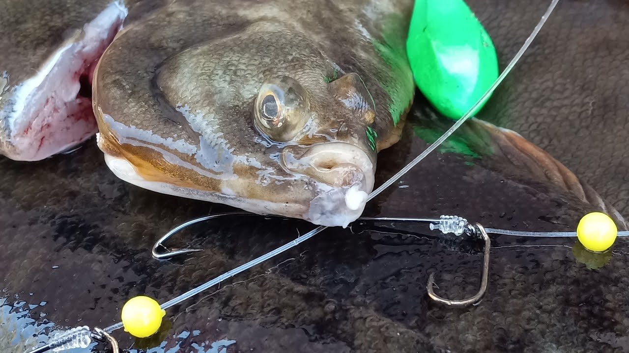 Canoe Fishing for Winter Flounder