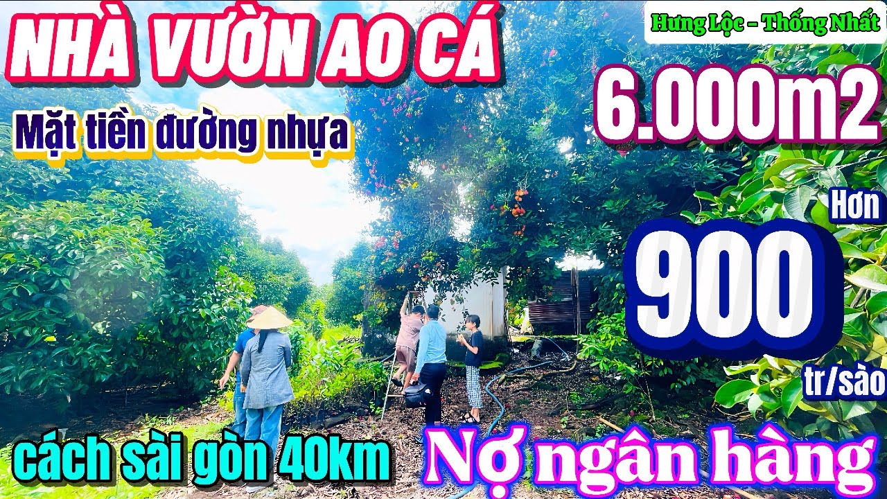 Nhà đất đồng nai, nợ ngân hàng hạ giá 2tỷ bán gấp nhà vườn ao chuồng mặt tiền đường nhựa quá rẻ !