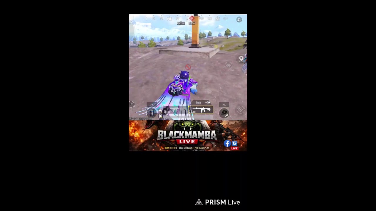 Live streaming of Black Mamba Live 🐍