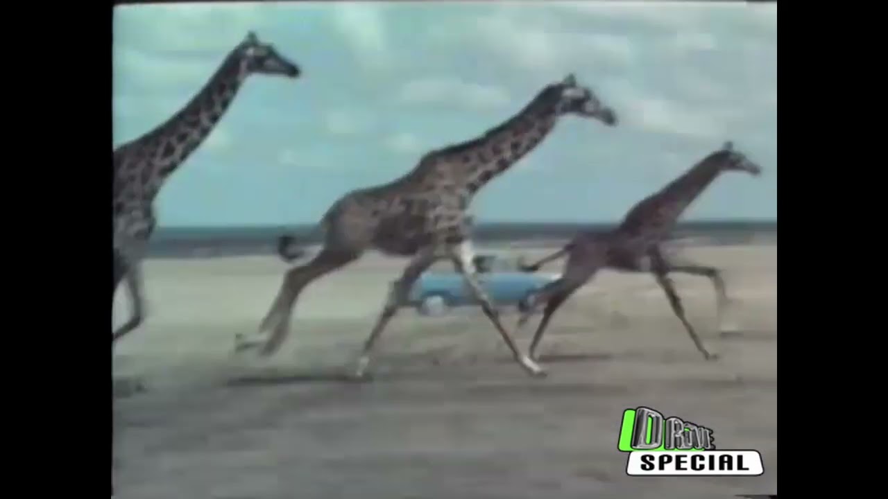 Drive Special: Fiat 850 Introductiefilm 1964