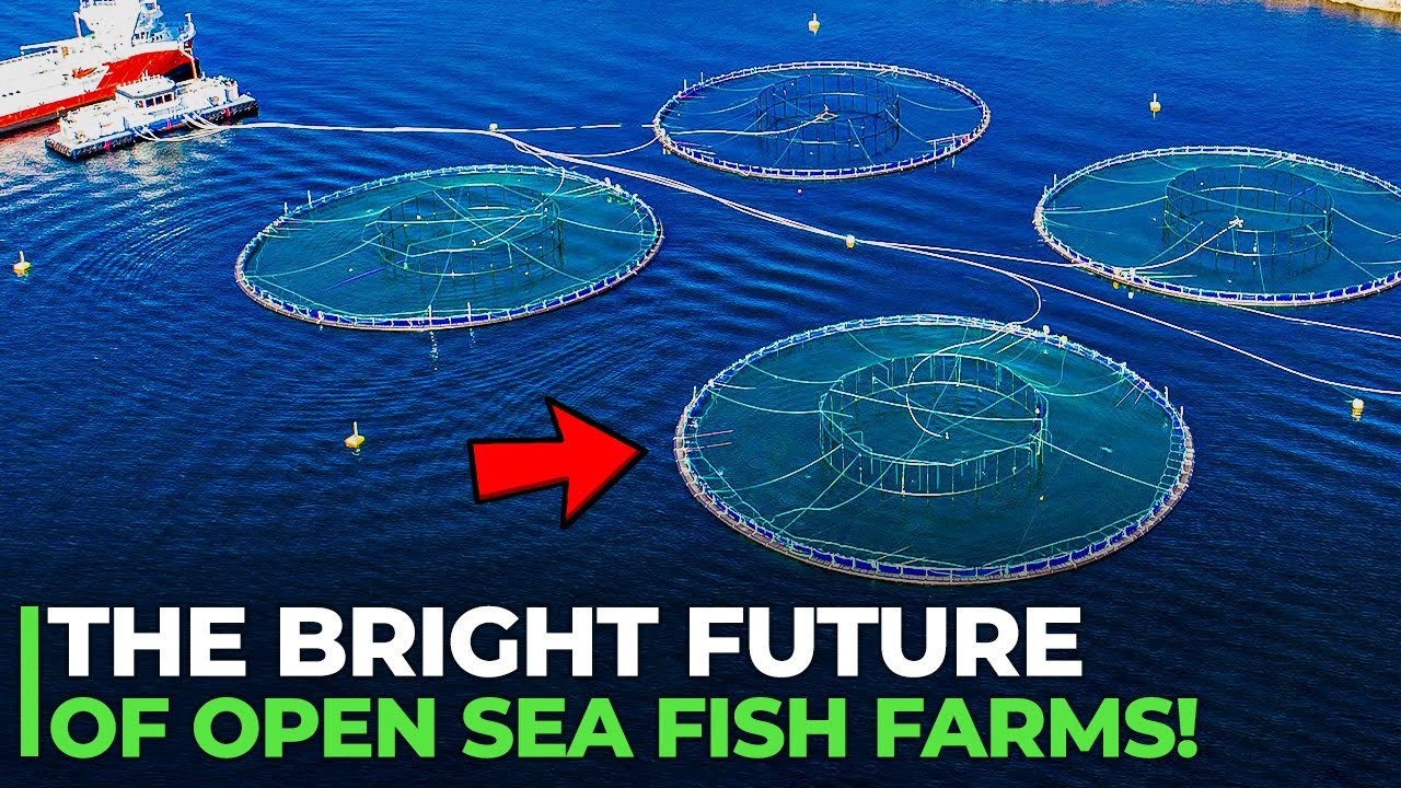 Aquaculture Fish Farming Is Going To Stop Overfishing!