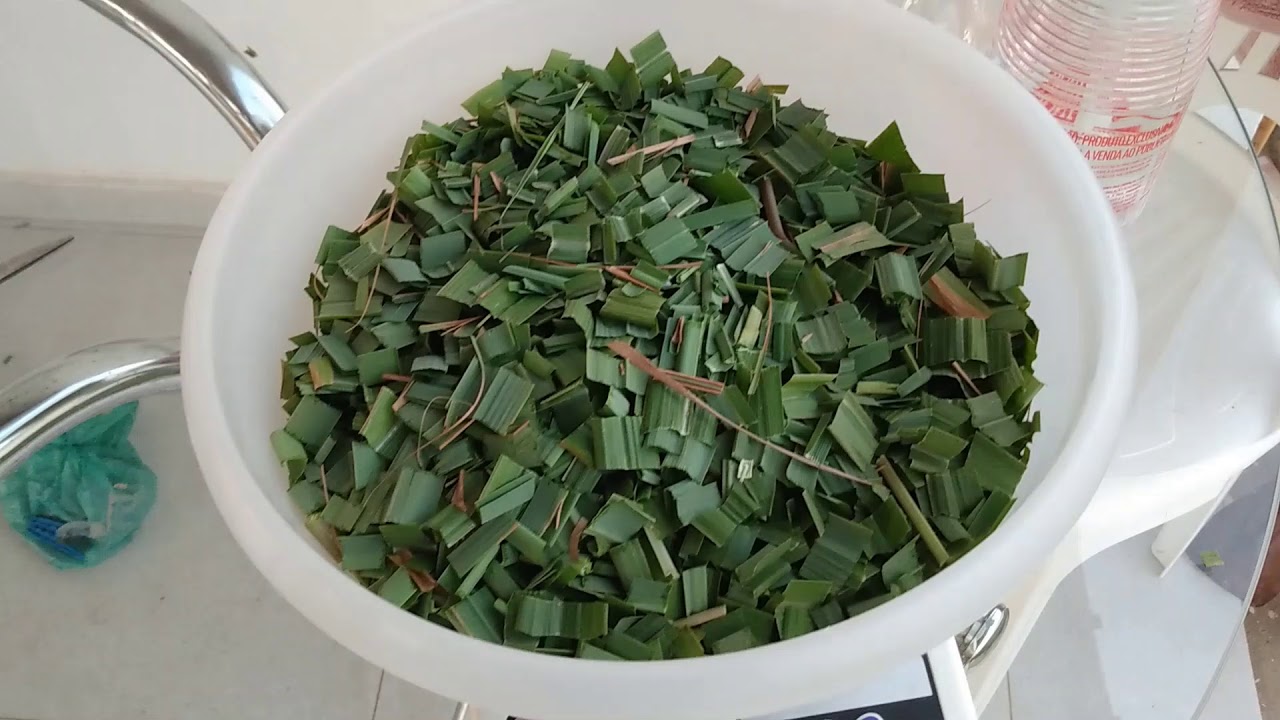 Planta que ajuda combater piolhos, ácaros...na criação de GALINHA