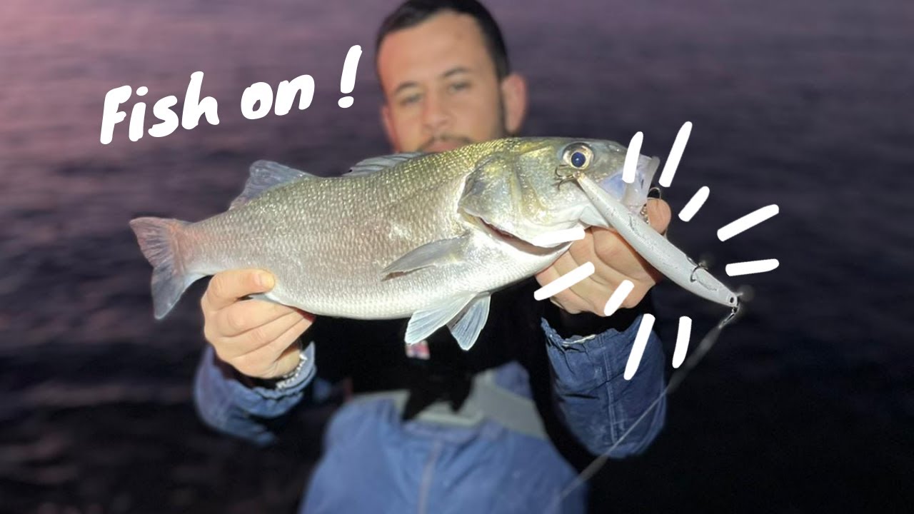Un lancer un poisson (2) - Loup - P&ecirc;che au leurre m&eacute;diterran&eacute;e