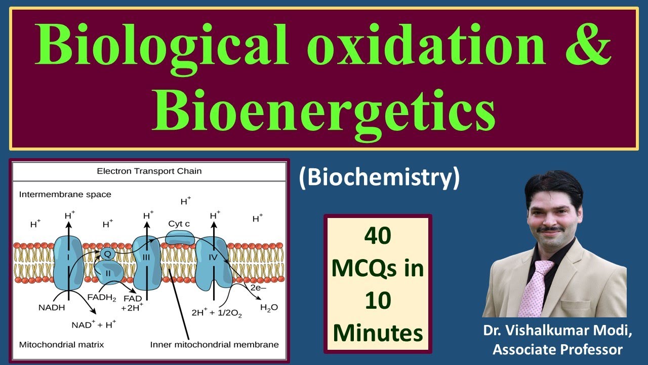 40 MCQs of Biological Oxidation & Bioenergetics I ETC & Oxidative Phosphorylation | Bioenergetics