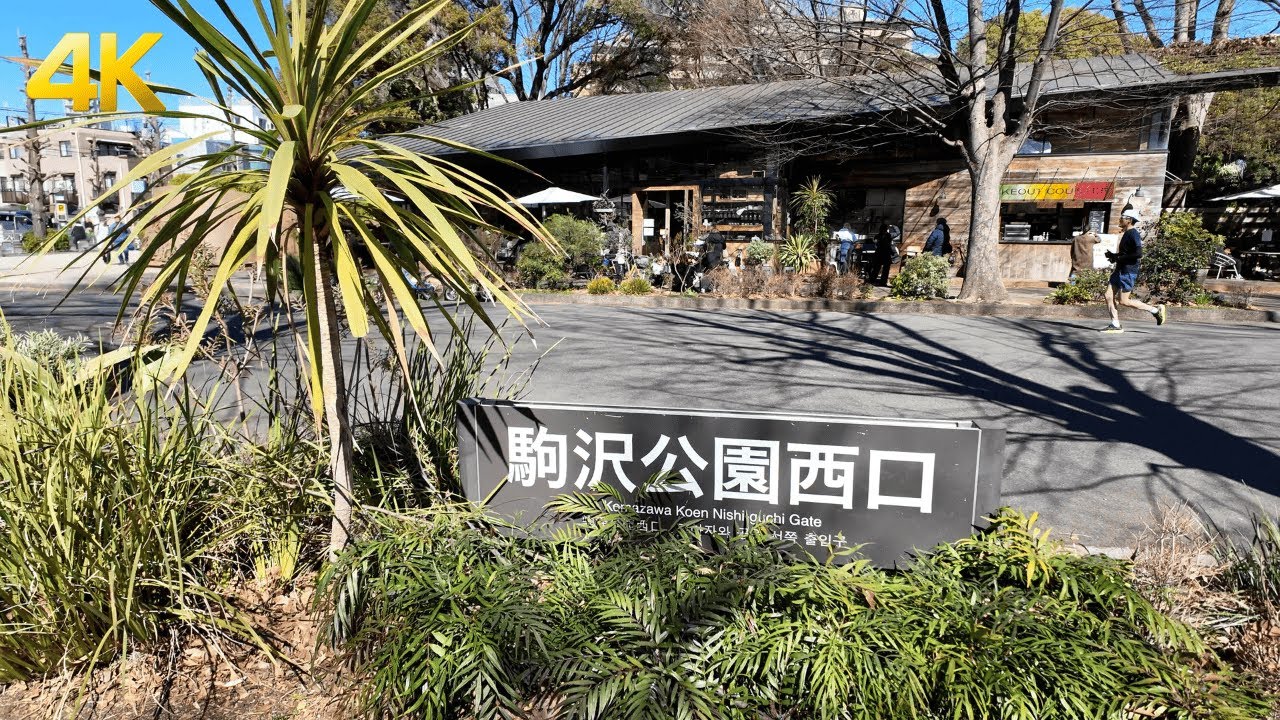 【4K】Walking in Tokyo’s Komazawa Park - Tokyo Japan