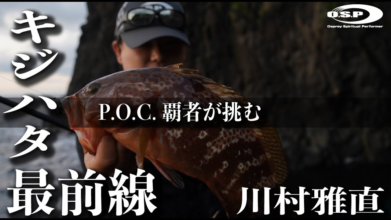 日本海キジハタ最前線に挑む（川村雅直）