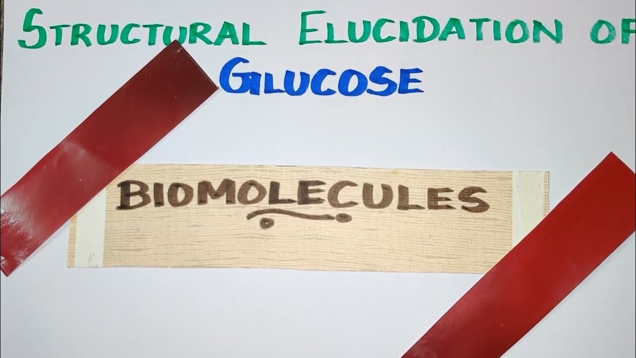 V(3)/Structural elucidation of GLUCOSE/Biomolecules/TN 12 th STD/Explanation in Tamil/Vol 2