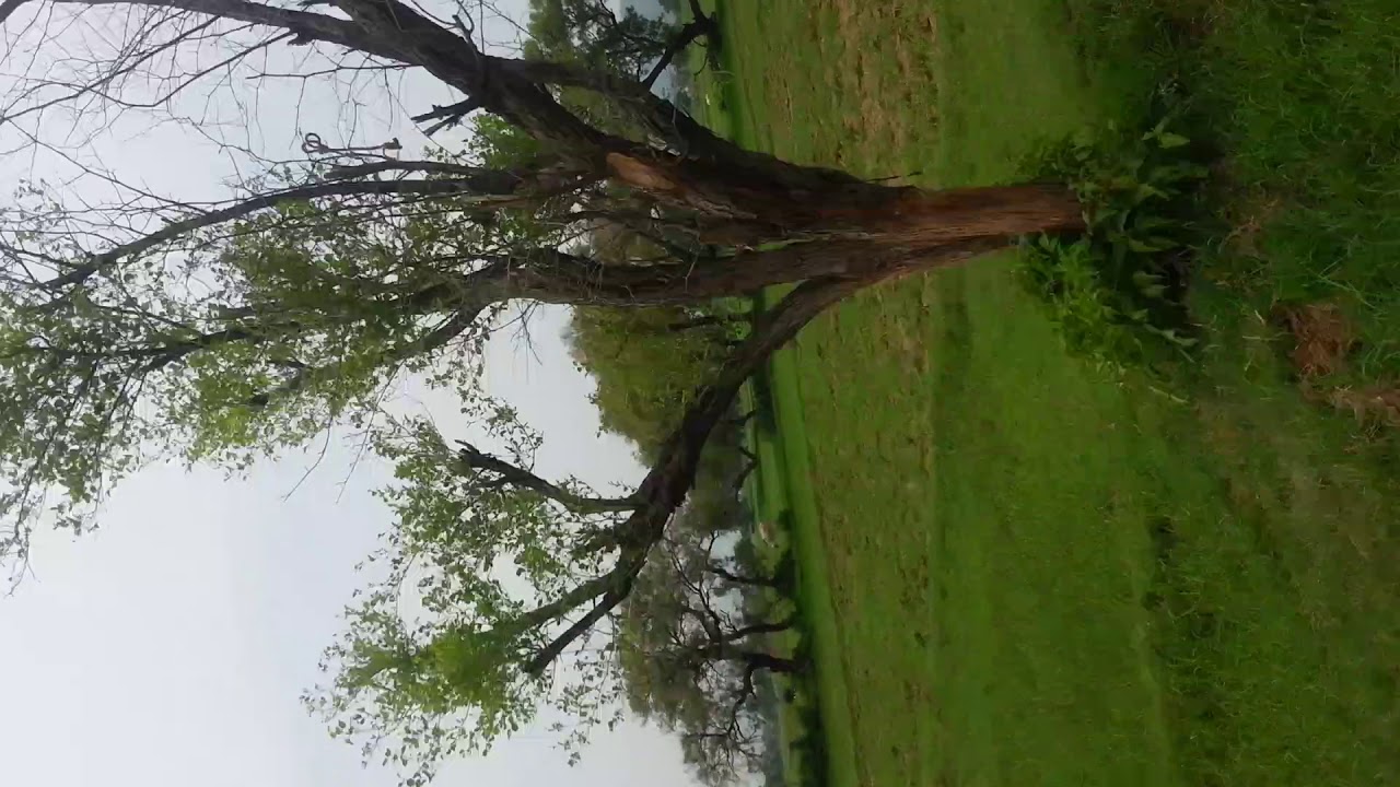 My beautiful village Wagh Jhelum