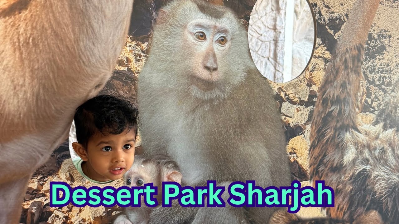 Dessert Park | 05 October 2025