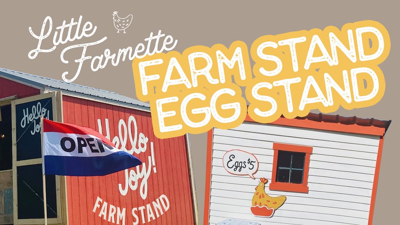 We built a Farm & Egg Stand for our homestead!