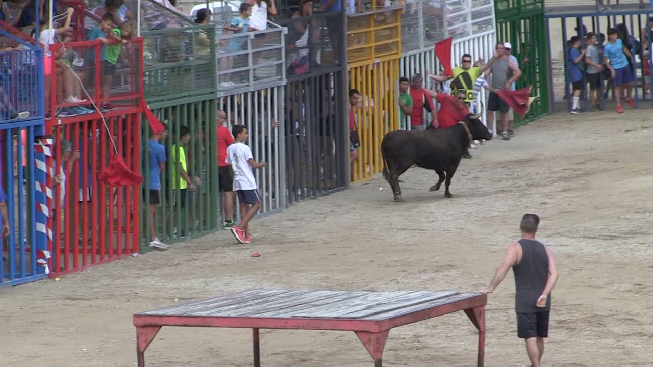 Anem de festa: Bous a la plaça