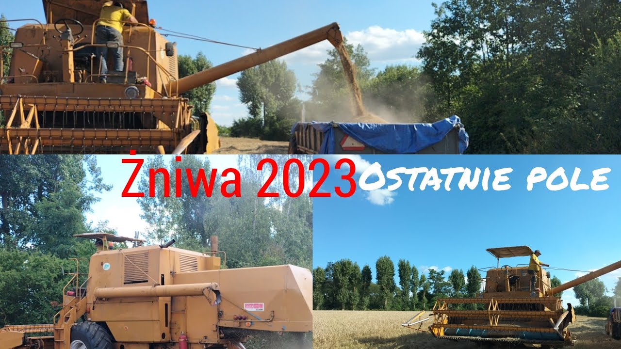 Żniwa 2023 | ostatnie pole | BIZON ZO56🚨