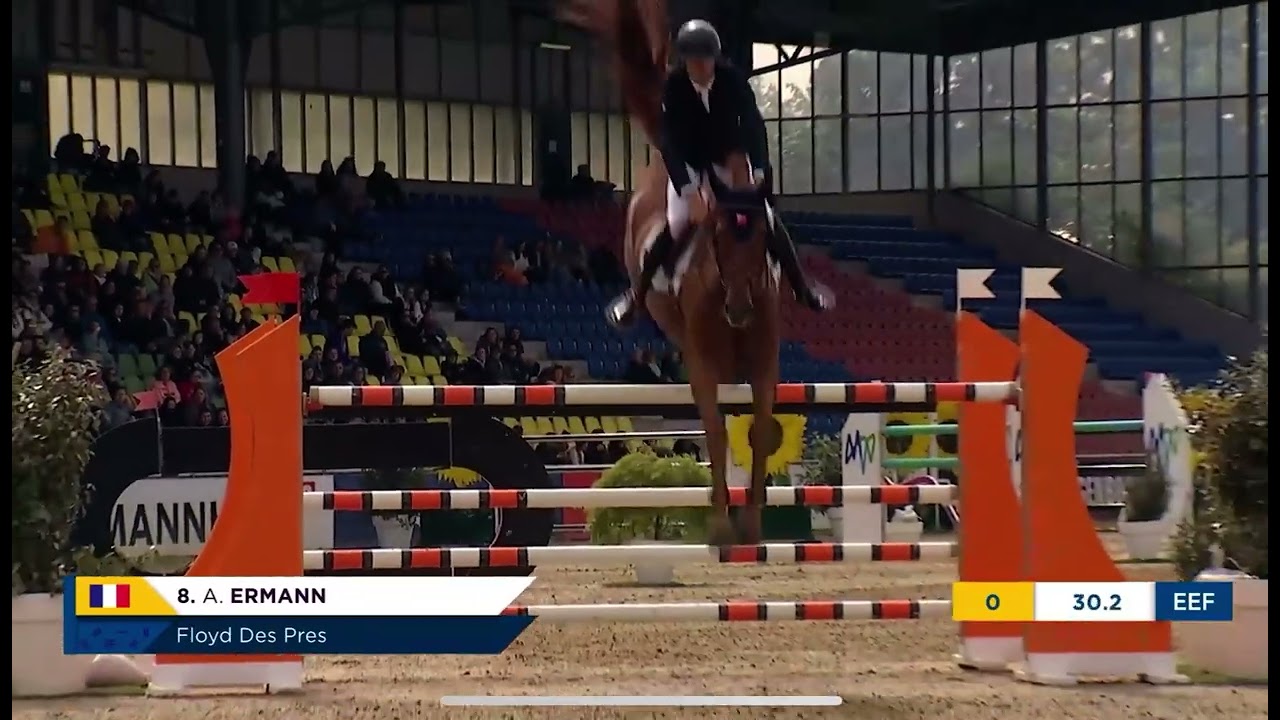 Floyd des Prés - CSIO 3* Mannheim - 2 ème manche de la coupe des Nations