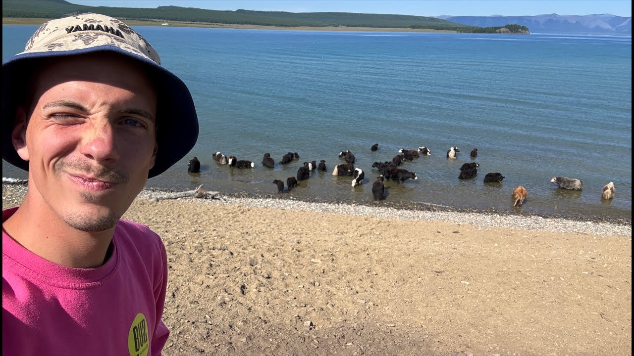 Buz dalla MONGOLIA