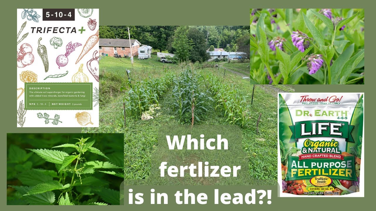 Is @MIgardener's Trifecta Fertilizer Still In The Lead?