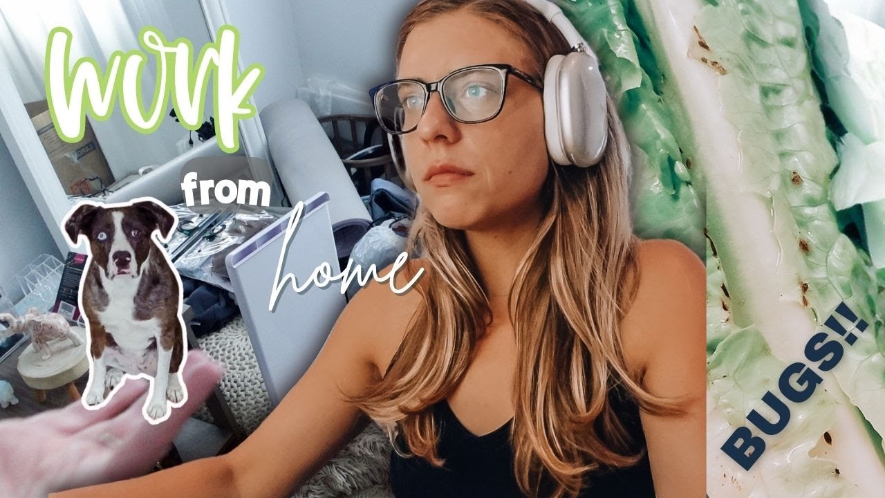WE FOUND BUGS?! | Organize my life