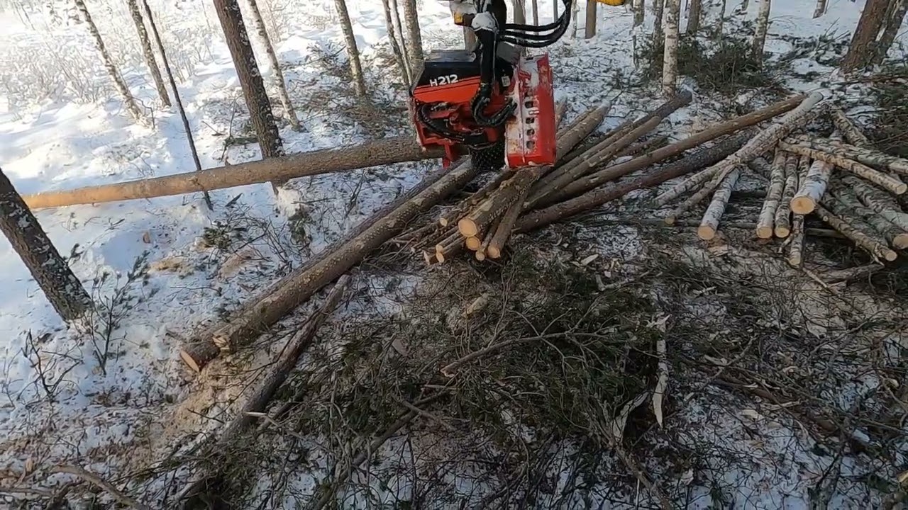 Waratah H212 | Thinning in Finland