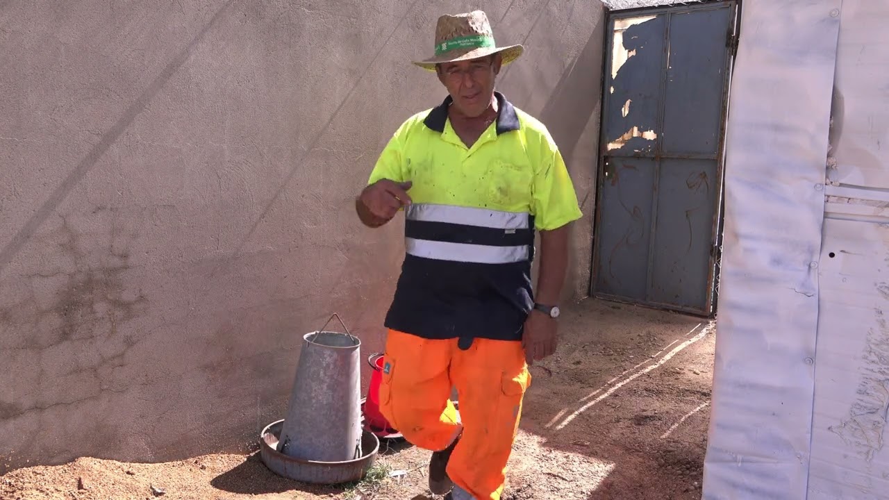 Las Avelinas toman posesión del Chalet