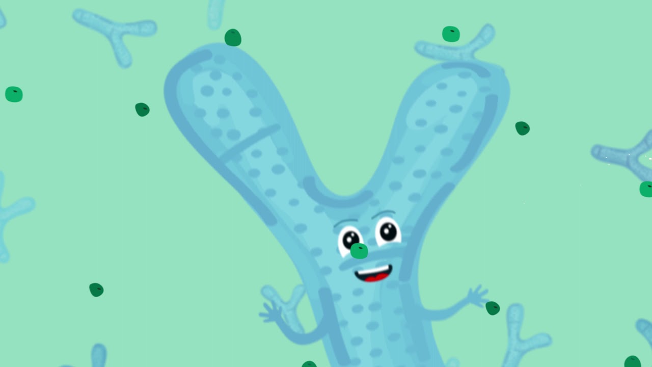 Probiotics vs Prebiotics: What's the Difference?