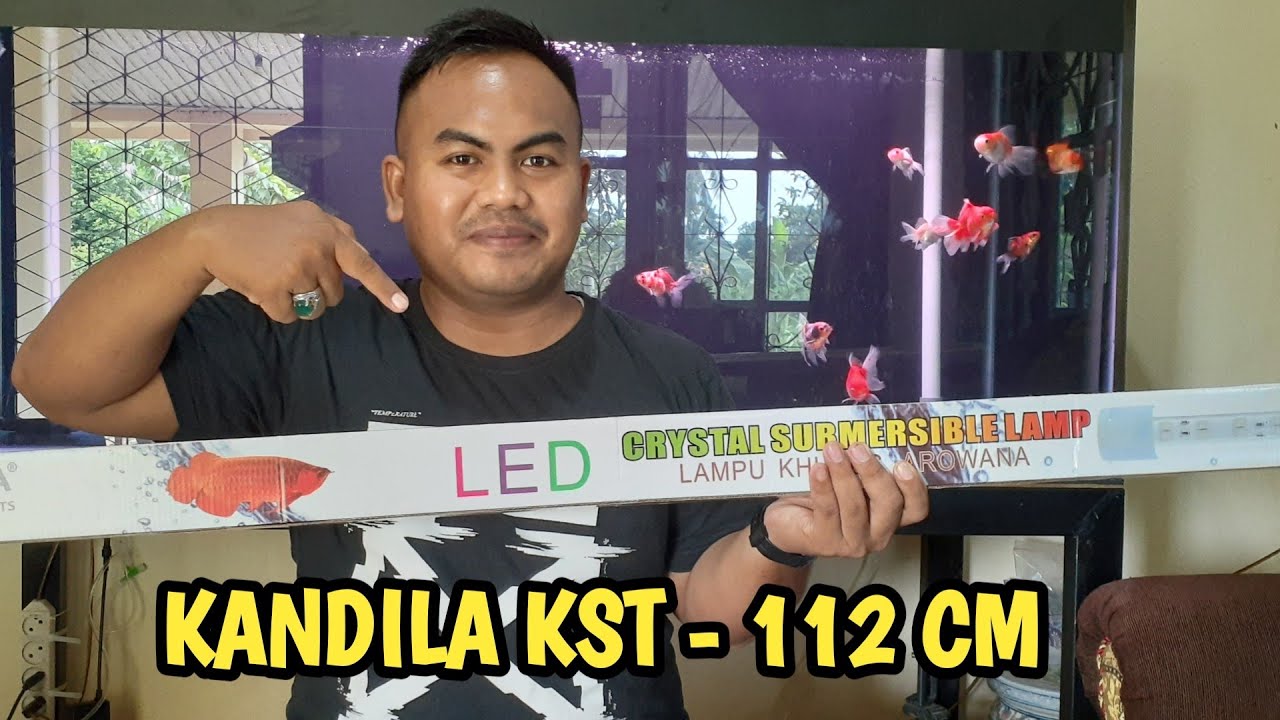 review lampu kandila KST 112 cm untuk aquarium ikan mas koki
