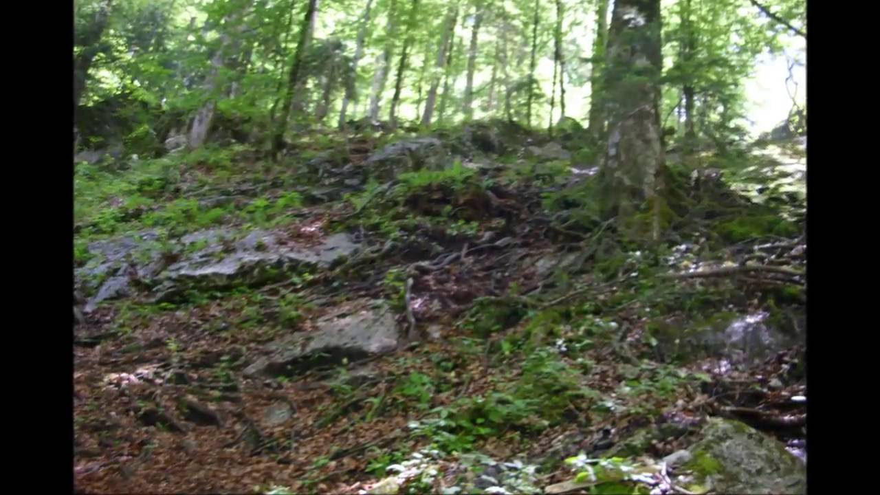 Der R&ouml;thbachwasserfall beim K&ouml;nigsee
