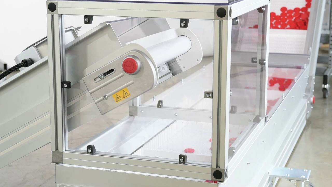 Modular Plastic Belt Conveyor with Air Cooling System | Globeius