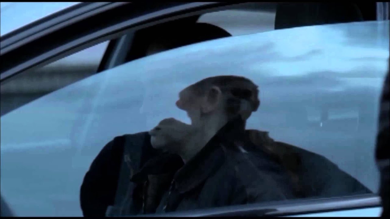 'Stay' - Linden & Holder, A Music Video Compilation 'The Killing' Season 1 thru Finale
