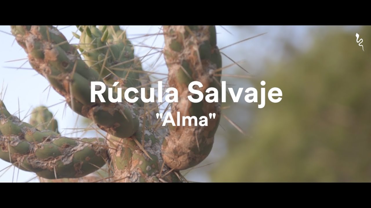 Rúcula Salvaje - Alma