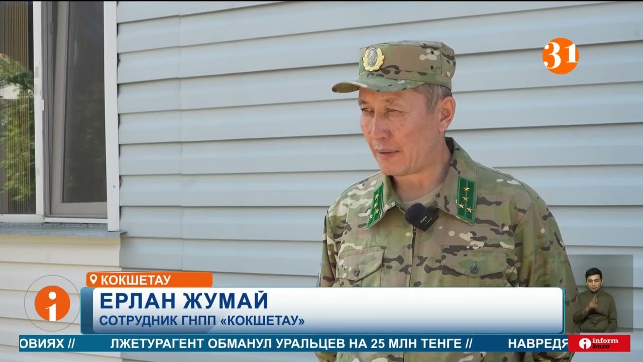 Зеренду поглощает болото: озеро наступает на дома