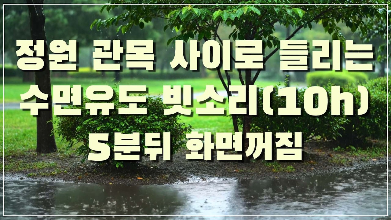 싱그러운 정원 관목 사이로 들리는 수면유도 빗소리, 5분 뒤 화면꺼짐 (10h)