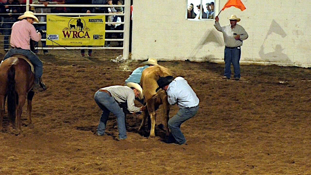Wild Cow Milking - 2019 Earth Ranch Rodeo