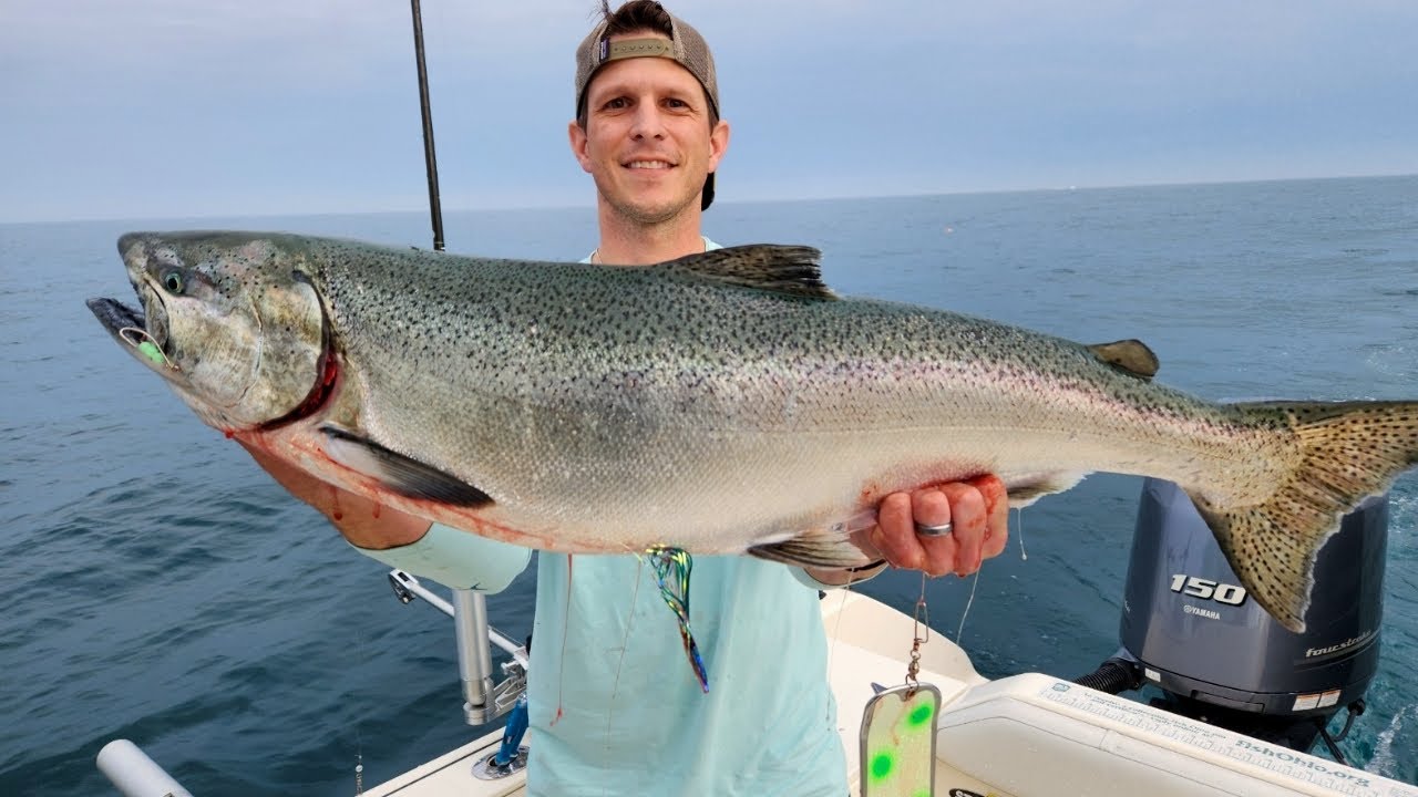 🔴 LIVE - More Kings Are Around & They're Big: Lake Michigan Fishing Report 6/22/24