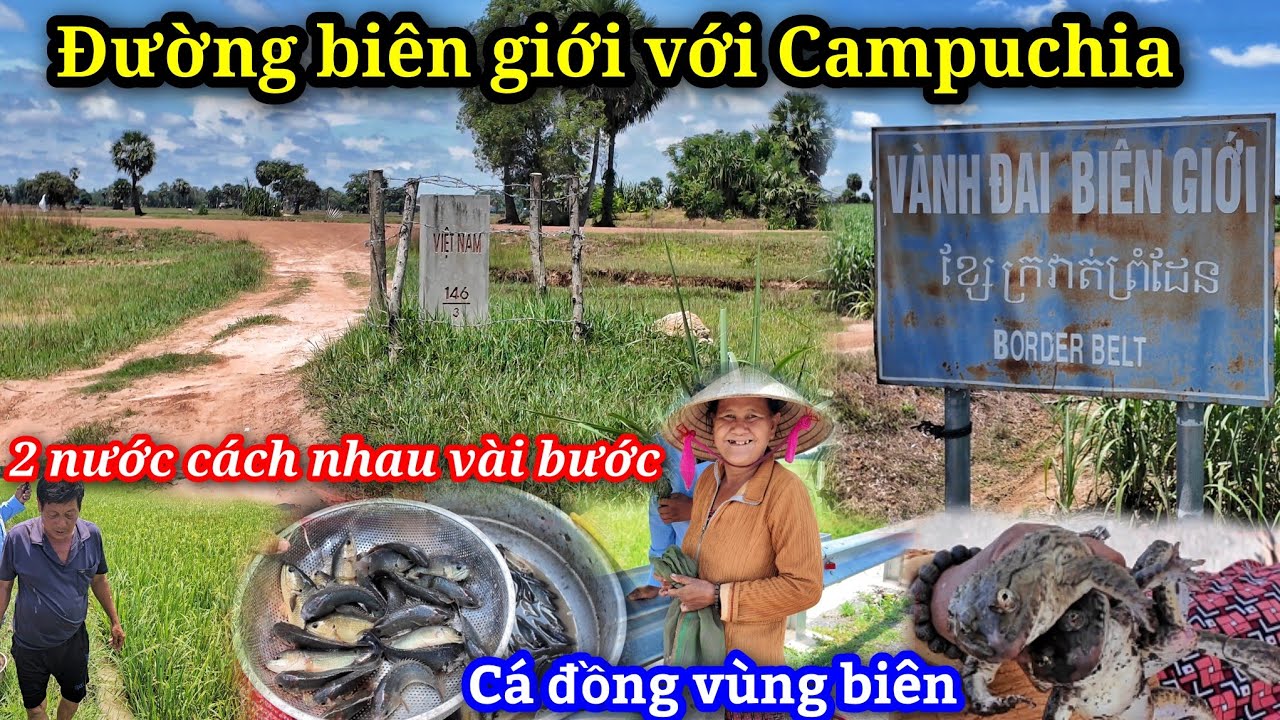 Khám phá đường vành đai biên giới nhìn thấy Campuchia rất gần - Đặc sản cá đồng vùng biên giới.