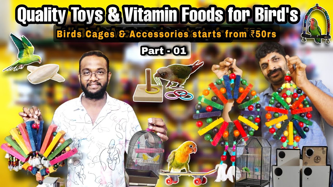 Bird Accessories start from ₹50rs | Part 01 |Birds Cage Food & Toy at wholesale @Rudra birds house