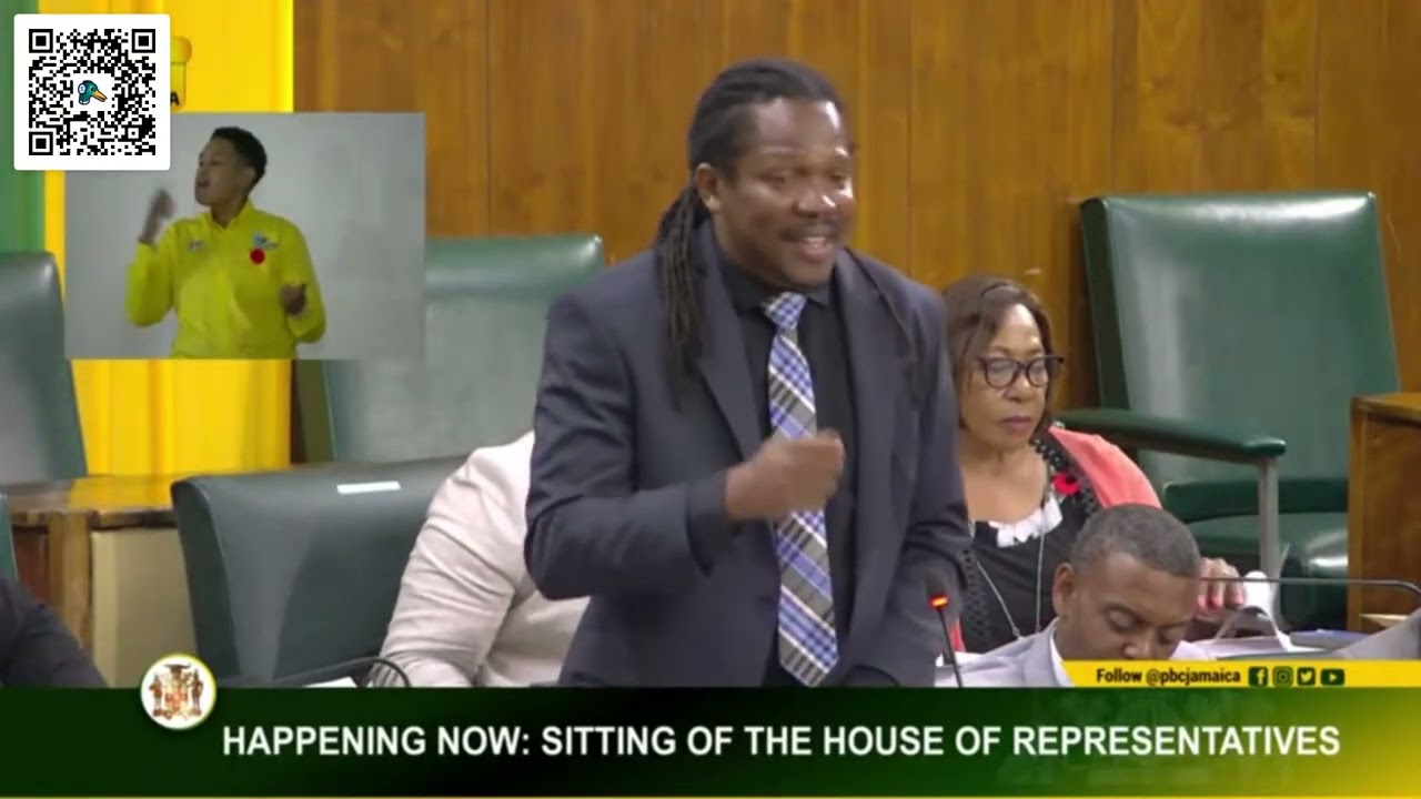 PNP MP Damion Crawford The Sitting of the House of Representatives