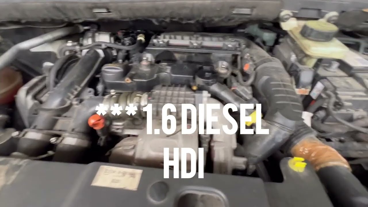 Wymiana EGR W 1.6 diesel citroen Peugeot Fiat HDI