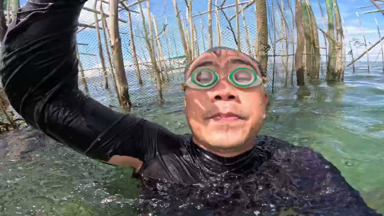 Nag Iisang Pusit Lubog Uy 