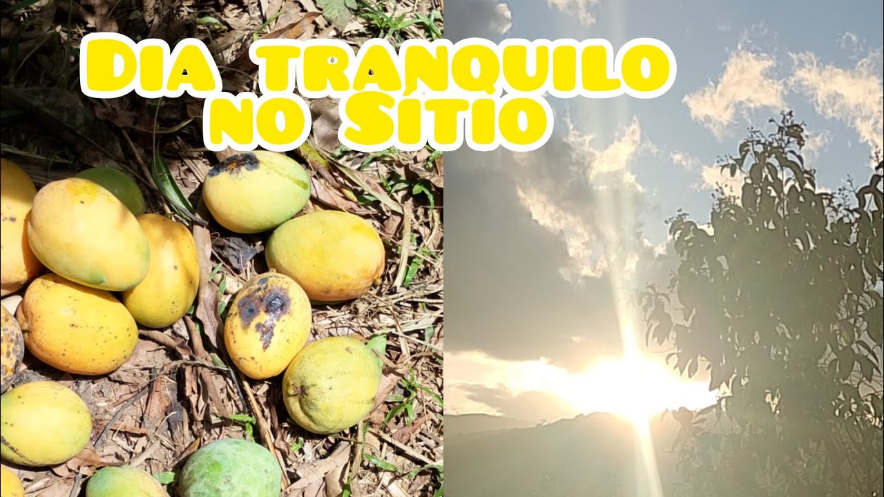 VLOG. DIA TRANQUILO NO SITIO 