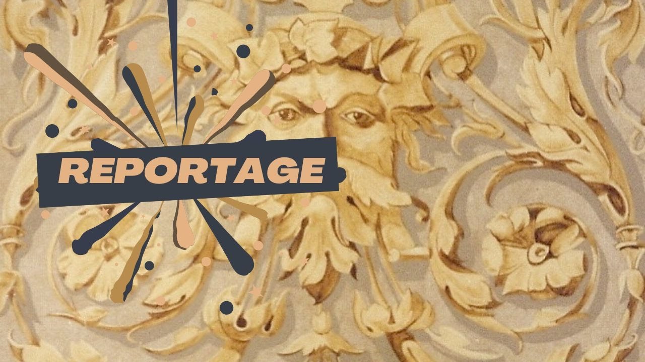 📣 L'école Blot est au JT 🎥 de France 3 Champagne-Ardenne