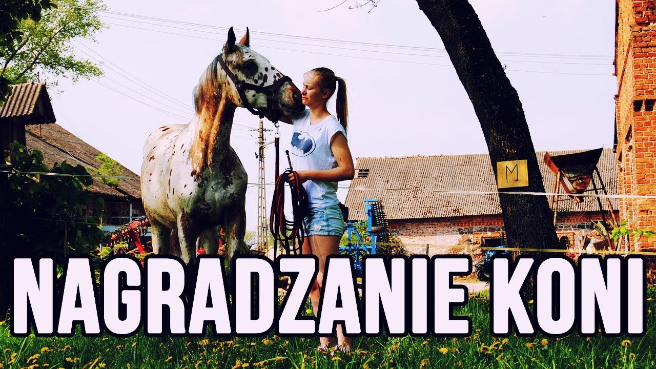 JAK NAGRADZAĆ