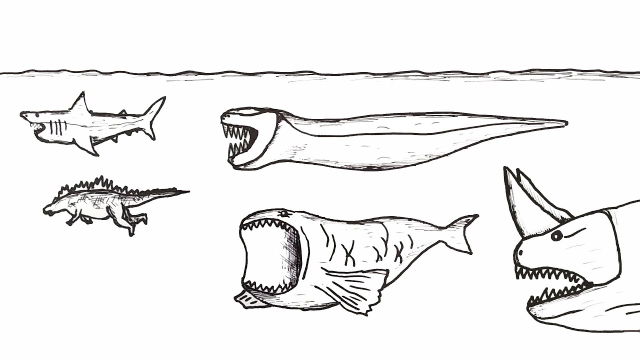 How to Draw Sea Monsters