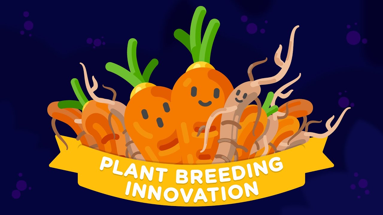 Plant Breeding Innovation | &iquest;What it is? and &iquest;How do we benefit from it?