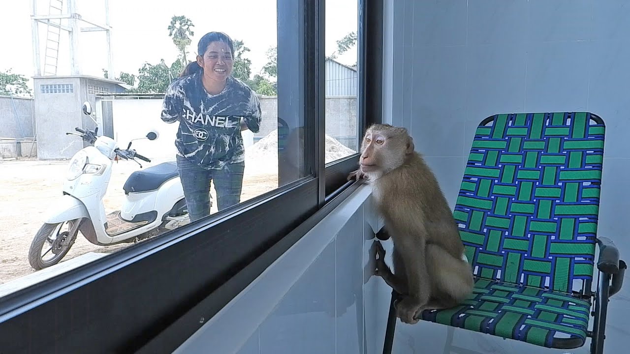 Funny Little Kako Talking With Mom Outside Room